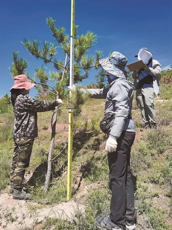 開展了青海三江源高寒草甸草地碳匯核算方法與固碳功能評估與研究以及