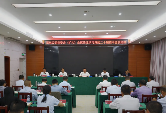 雷林公司召开党委会（扩大）会议传达学...