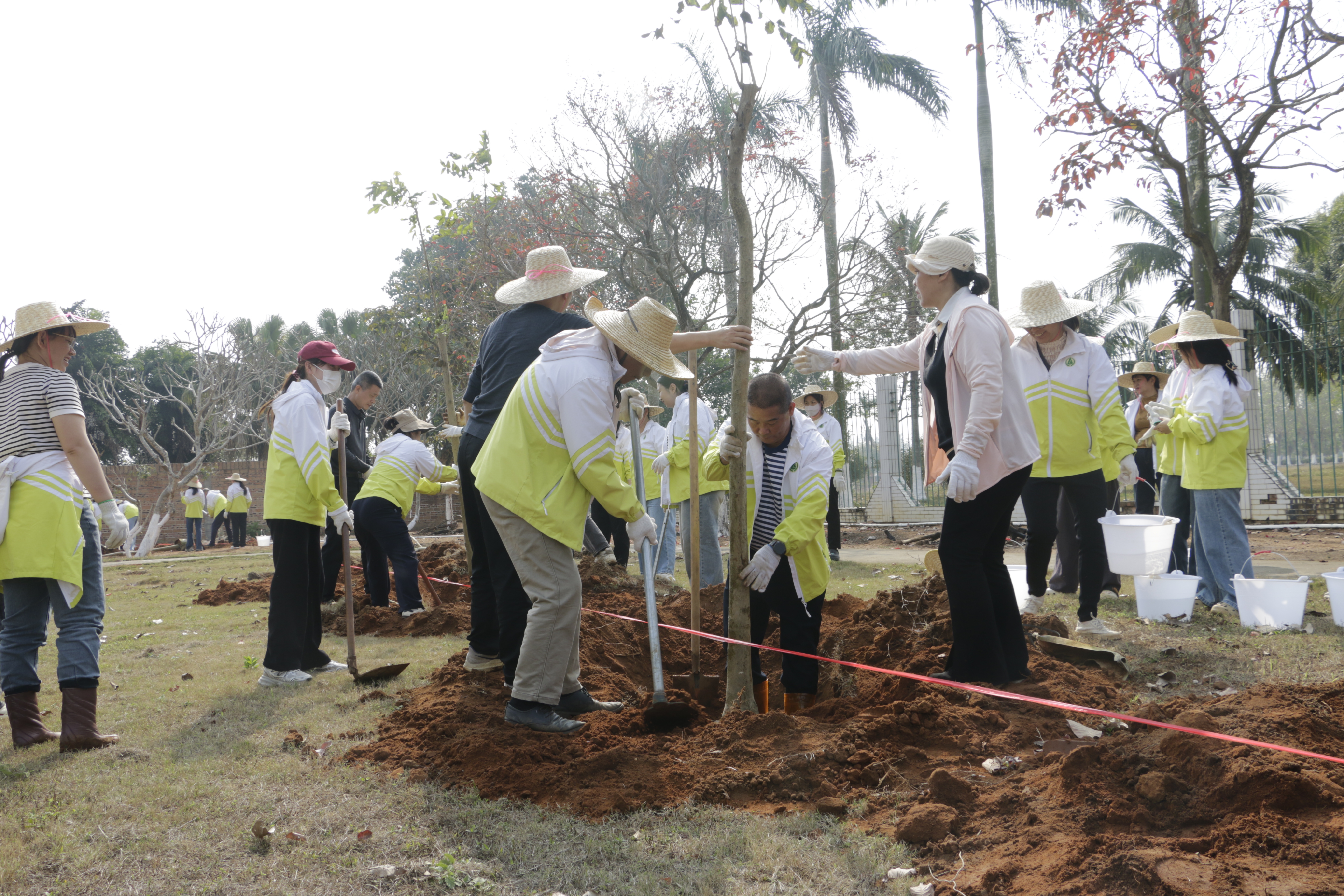 植绿护生态 央企显担当｜雷林公司开展植...